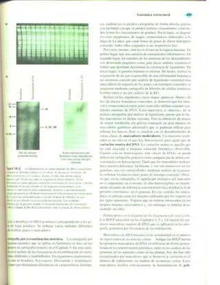 Griffiths anthony   genetica (7ed)