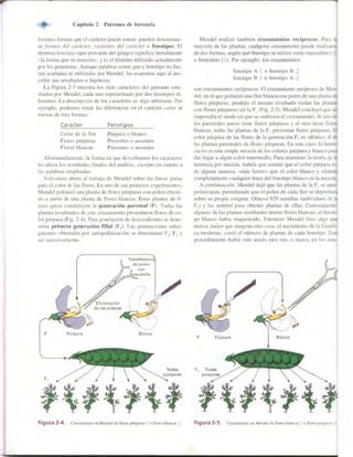 Griffiths anthony   genetica (7ed)