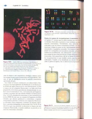 Griffiths anthony   genetica (7ed)