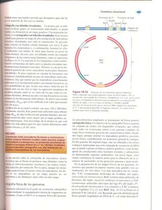 Griffiths anthony   genetica (7ed)