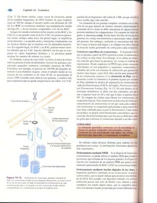 Griffiths anthony   genetica (7ed)