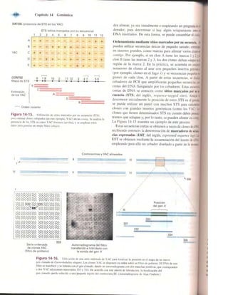 Griffiths anthony   genetica (7ed)