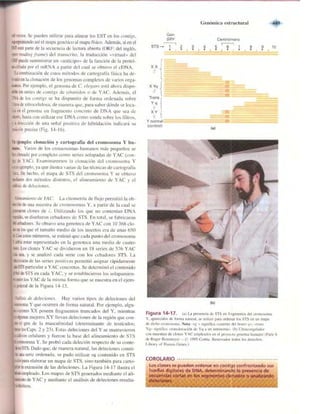 Griffiths anthony   genetica (7ed)