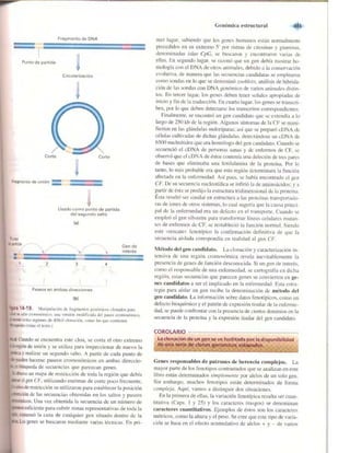Griffiths anthony   genetica (7ed)