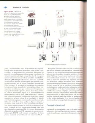 Griffiths anthony   genetica (7ed)