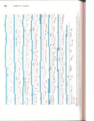 Griffiths anthony   genetica (7ed)