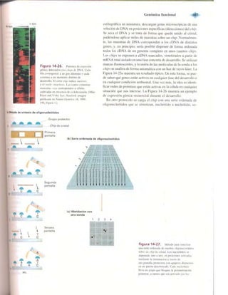 Griffiths anthony   genetica (7ed)