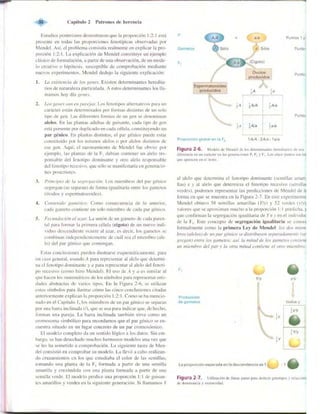Griffiths anthony   genetica (7ed)