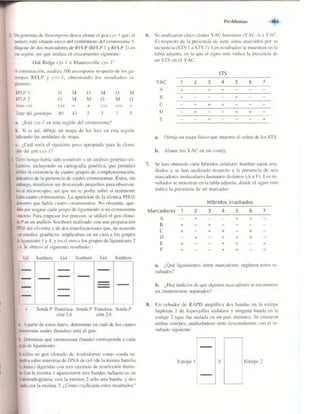 Griffiths anthony   genetica (7ed)