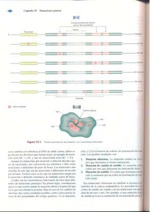 Griffiths anthony   genetica (7ed)