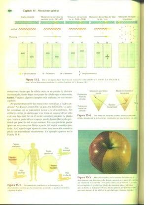 Griffiths anthony   genetica (7ed)