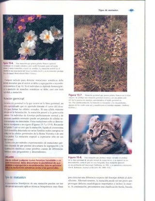 Griffiths anthony   genetica (7ed)