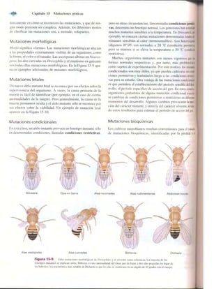 Griffiths anthony   genetica (7ed)