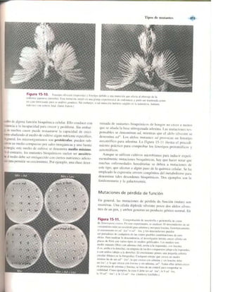 Griffiths anthony   genetica (7ed)