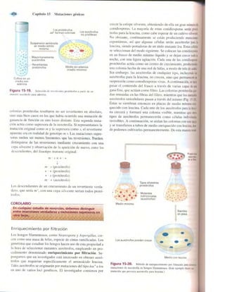 Griffiths anthony   genetica (7ed)
