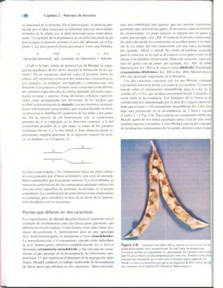 Griffiths anthony   genetica (7ed)