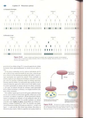 Griffiths anthony   genetica (7ed)