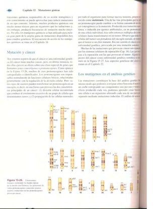 Griffiths anthony   genetica (7ed)