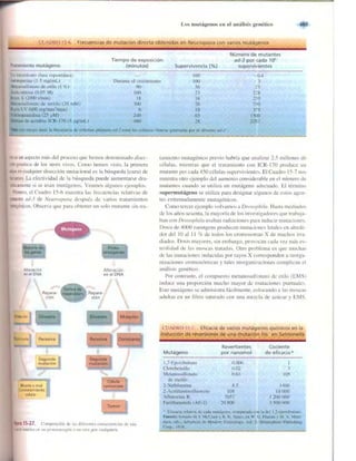 Griffiths anthony   genetica (7ed)