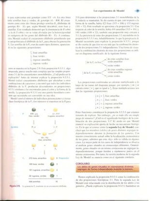 Griffiths anthony   genetica (7ed)