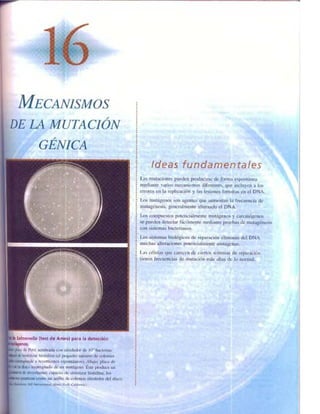 Griffiths anthony   genetica (7ed)