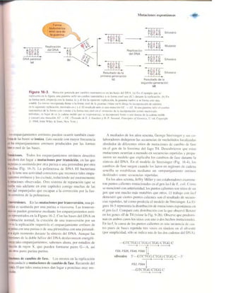 Griffiths anthony   genetica (7ed)