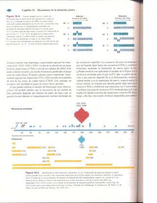 Griffiths anthony   genetica (7ed)