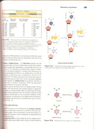 Griffiths anthony   genetica (7ed)