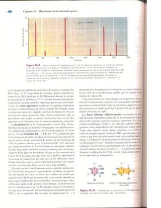 Griffiths anthony   genetica (7ed)