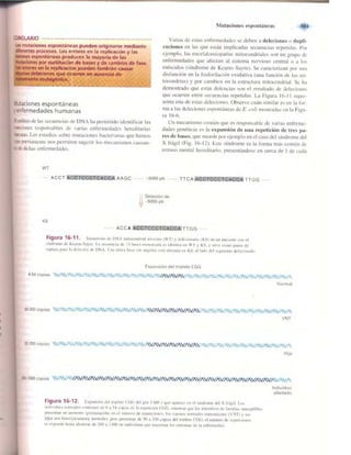 Griffiths anthony   genetica (7ed)