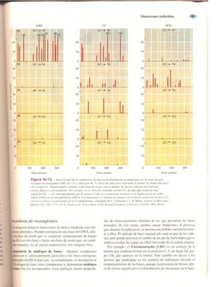 Griffiths anthony   genetica (7ed)