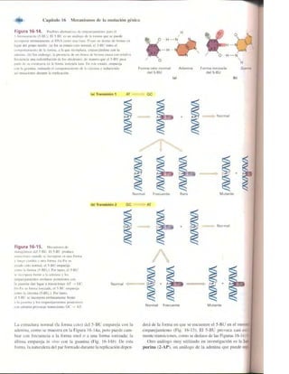 Griffiths anthony   genetica (7ed)