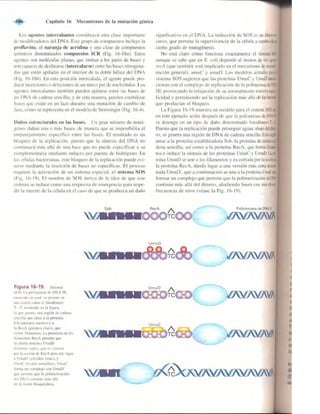 Griffiths anthony   genetica (7ed)