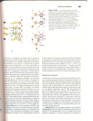 Griffiths anthony   genetica (7ed)
