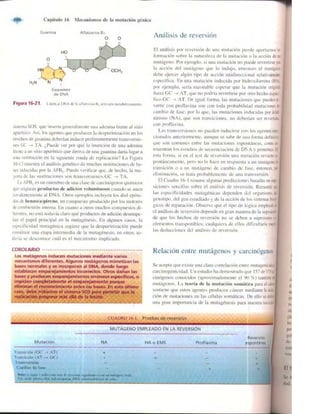 Griffiths anthony   genetica (7ed)