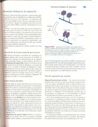 Griffiths anthony   genetica (7ed)