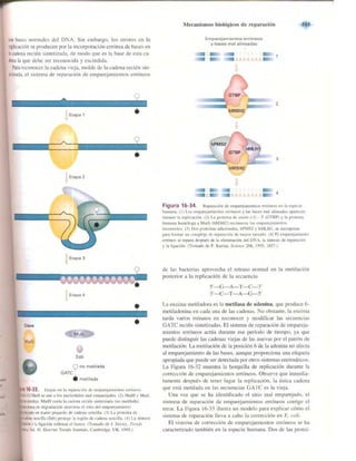 Griffiths anthony   genetica (7ed)