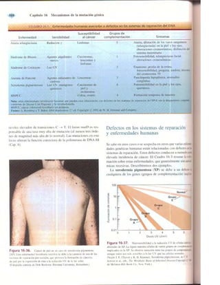 Griffiths anthony   genetica (7ed)