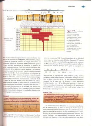 Griffiths anthony   genetica (7ed)