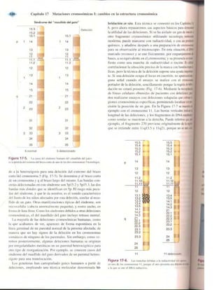 Griffiths anthony   genetica (7ed)
