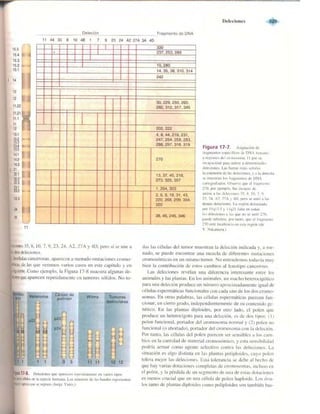 Griffiths anthony   genetica (7ed)