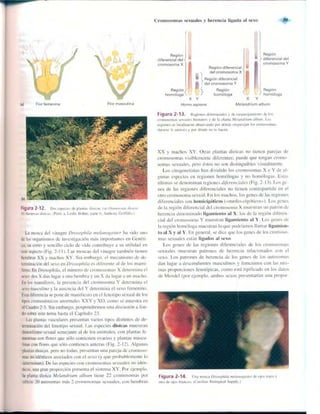 Griffiths anthony   genetica (7ed)