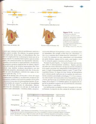 Griffiths anthony   genetica (7ed)