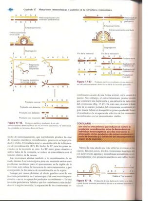 Griffiths anthony   genetica (7ed)