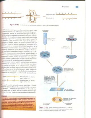 Griffiths anthony   genetica (7ed)