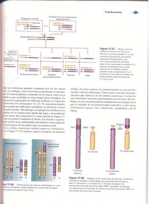 Griffiths anthony   genetica (7ed)