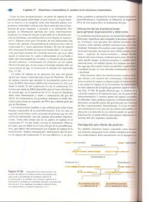 Griffiths anthony   genetica (7ed)