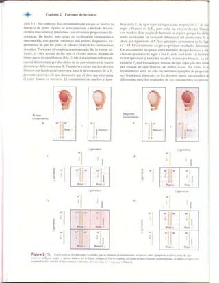 Griffiths anthony   genetica (7ed)