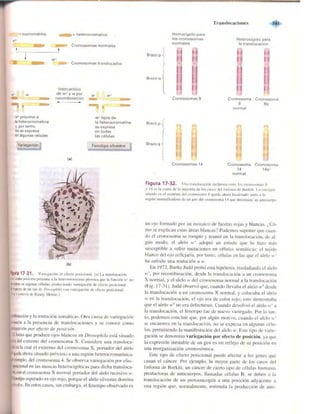 Griffiths anthony   genetica (7ed)