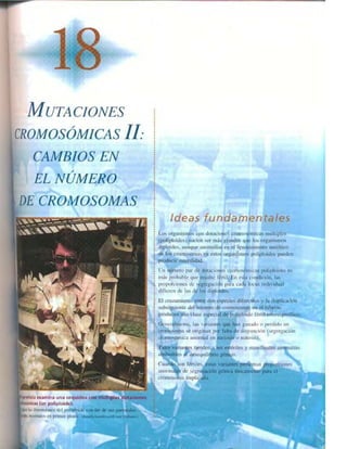 Griffiths anthony   genetica (7ed)